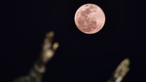 What’s So Special About April’s Pink Moon? And Why It’s Nothing Like You’d Expect!