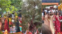 This 700-Year-Old Banyan Tree Has Become Unexpected Highlight Of Miss World 2025