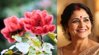 Your Sindoor Plant May Be Dying Because Of This One Hidden Negative Energy Source In Home