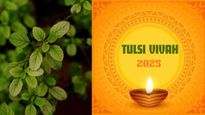 Happy Tulsi Vivah 2025 Wishes: Top 50 Greetings, Messages, Images, Texts, Instagram, X And WhatsApp Posts