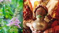 Tulsi Vivah 2025: Remedies For Couples To Remove Problems In Marriage, Transform Relationships