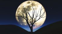 Tonight’s November 2025 Supermoon Is Unlike Any Other Full Moon This Year, Here’s Why!
