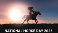 National Horse Day 2025: These 5 Indian Celebrities Have A Strong Passion For Horse Riding