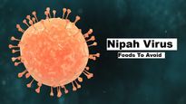 Nipah Virus Safety Guide: Foods You Should Not Eat Right Now