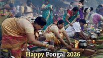 Happy Pongal 2026 Wishes: 50+ Heartwarming Messages, Status And Posts For WhatsApp, Insta, Facebook And X