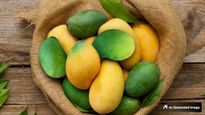 Beyond Taste, It’s Legacy: 5 Heritage Mango Varieties Of Uttar Pradesh From Popular Favourites To Rare Finds