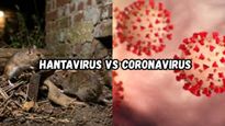 Hantavirus Vs Coronavirus: Transmission, Symptoms, Mortality, and What You Need To Know