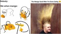 Mango Memes 2026: The ‘King Of Fruits’ In India Is Basically Chaos, Cravings, Sticky Fingers And Family Drama 