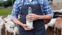 Heatwave Alert: Is India’s Milk Supply Chain Safe in 45°C Temperatures?