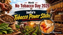 World No Tobacco Day 2026: State-Wise Data Reveals The States Driving India’s Tobacco Production 