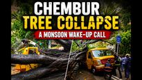 Chembur Tree Collapse During Mumbai Rains: One Student Dead, 10 Injured—Why Monsoon Safety Can't Be Ignored