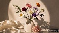 Birth Flower by Month: Meanings, Symbolism, and Origins
