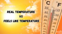 Real Temperature vs Feels Like Temperature: What's The Difference And Why It Matters