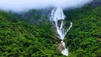 60 Days, One Rule: Goa Bans Swimming At Waterfalls This Monsoon