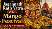 11,000 Kg, 108 Mango Varieties: ISKCON Dwarka Marks Jagannath Rath Yatra 2026 With A Grand Mango Festival 