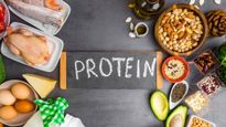 Why Our Protein Obsession Is Becoming Unhealthy — Expert Explains The Reason