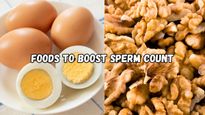 7 Foods That May Boost Sperm Count in 90 Days, According to a Fertility Specialist