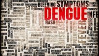 India's Dengue Season Is Getting Longer, and Kids Are Most at Risk