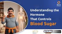How Does Insulin Work? Understanding The Hormone That Controls Blood Sugar 