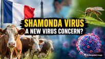 France Reports First Human Case Of Shamonda Virus After Man In His 60s Dies: Could It Affect India? 
