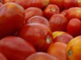 ಸ್ವಾದಿಷ್ಟಕರ ಟೊಮೆಟೊ ಹಣ್ಣಿನ ಚಟ್ನಿ