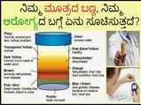 ಎಚ್ಚರ: ಮೂತ್ರದ ಬಣ್ಣದಲ್ಲಿ ಏರುಪೇರಾದರೆ ಅಪಾಯ ಕಟ್ಟಿಟ್ಟ ಬುತ್ತಿ..!