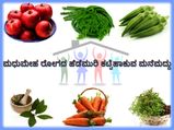 ಮಧುಮೇಹ ರೋಗದ ಹೆಡೆಮುರಿ ಕಟ್ಟಿಹಾಕುವ ಫಲಪ್ರದ ಮನೆಮದ್ದು