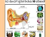 ಕಿವಿ ನೋವನ್ನು ತಡೆಗಟ್ಟಲು ಅನುಸರಿಸಬೇಕಾದ ವಿಧಾನಗಳೇನು?