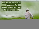 ಕೀಟನಾಶಗಳಿಂದಾಗಿ ಖಿನ್ನತೆ ಸಮಸ್ಯೆ ಬರಬಹುದು!