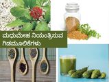 ಮಧುಮೇಹ ನಿಯಂತ್ರಣದಲ್ಲಿಡುವ 10 ಗಿಡಮೂಲಿಕೆ