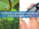 ಮನೆಮದ್ದು: ಮಧುಮೇಹ, ಕೊಲೆಸ್ಟ್ರಾಲ್‌ ನಿಯಂತ್ರಿಸಲು ಸೀಬೆಕಾಯಿ ಎಲೆಗಳನ್ನು ಹೇಗೆ ಬಳಸಬೇಕು?