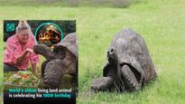 191 ಹುಟ್ಟುಹಬ್ಬ ಆಚರಿಸಿದ ಆಮೆ: ಈ ಭೂಮಿಯಲ್ಲಿರುವ ಪ್ರಾಣಿಗಳಲ್ಲಿಯೇ ಅತ್ಯಂತ ವಯಸ್ಸಾದ ಪ್ರಾಣಿಯಿದು