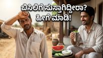 ಬಿಸಿಲಿನ ಅಲೆ: ಸುಡುವ ಬಿಸಿಲಿನಲ್ಲಿ ನಿಮ್ಮ ಆರೋಗ್ಯ ಕಾಪಾಡಿಕೊಳ್ಳಲು ಈ ಪಾನೀಯಗಳೇ ಮದ್ದು!