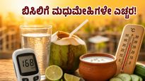 ಬಿಸಿಲ ಬೇಗೆಯಲ್ಲಿ ಮಧುಮೇಹಿಗಳ ಪರದಾಟ: ಸಕ್ಕರೆ ಮಟ್ಟ ಏರಿಕೆಯಾಗದಂತೆ ತಂಪಾಗಿರಲು ಈ ಪಾನೀಯಗಳೇ ಮದ್ದು!