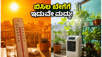 ಹೀಟ್‌ವೇವ್ ಎಚ್ಚರಿಕೆ: ಸುಡುವ ಬಿಸಿಲಲ್ಲೂ ನಿಮ್ಮ ಮನೆಯನ್ನು ತಂಪಾಗಿಡಲು ಮತ್ತು ಗಿಡಗಳನ್ನು ಉಳಿಸಲು ಈ ಟಿಪ್ಸ್ ಸಾಕು!