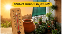 ಬಿಸಿಗಾಳಿಯ ಆರ್ಭಟ: ಮನೆಯನ್ನು ತಂಪಾಗಿಡಲು ಮತ್ತು ಆರೋಗ್ಯ ಕಾಪಾಡಲು ಈ ಸರಳ ಟಿಪ್ಸ್ ಮಿಸ್ ಮಾಡ್ಬೇಡಿ!