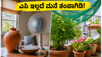 ಶಾಖದ ಅಲೆ ಎಚ್ಚರಿಕೆ: ಎಸಿ ಇಲ್ಲದೆ ಮನೆಯನ್ನು ತಂಪಾಗಿಡಲು ಮತ್ತು ನಿಮ್ಮ ಗಿಡಗಳನ್ನು ಬಿಸಿಲಿನಿಂದ ರಕ್ಷಿಸಲು ಇಲ್ಲಿವೆ ಬೆಸ್ಟ್ ಟಿಪ್ಸ್!