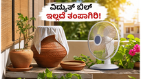 ಬಿಸಿಲ ಬೇಗೆಯಿಂದ ತತ್ತರಿಸಿದ್ದೀರಾ? ವಿದ್ಯುತ್ ಬಿಲ್ ಇಲ್ಲದೆ ಮನೆಯನ್ನು ತಂಪಾಗಿಡಲು ಇಲ್ಲಿದೆ ಮ್ಯಾಜಿಕ್ ಟಿಪ್ಸ್!
