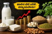 ಹಾಲಿನ ಬೆಲೆ ಏರಿಕೆ: ಅಡುಗೆಮನೆಯ ಬಜೆಟ್ ಹಾಳಾಗದಂತೆ ಆರೋಗ್ಯ ಕಾಪಾಡಿಕೊಳ್ಳಲು ಈ ಪರ್ಯಾಯ ಆಹಾರಗಳೇ ದಾರಿ!