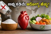 ಉಪ್ಪಿನಕಾಯಿ, ಹಪ್ಪಳ ಇಷ್ಟನಾ? ಎಚ್ಚರ! ಹೃದಯದ ಆರೋಗ್ಯಕ್ಕಾಗಿ ಅಡುಗೆಯಲ್ಲಿ ಈ ಬದಲಾವಣೆ ಮಾಡಲೇಬೇಕು