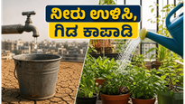 ದೆಹಲಿ ನೀರಿನ ಬಿಕ್ಕಟ್ಟು: ಮನೆಯಲ್ಲಿ ನೀರು ಉಳಿಸಿ, ಗಿಡಗಳನ್ನು ಕಾಪಾಡಲು ಇಲ್ಲಿವೆ ಸ್ಮಾರ್ಟ್ ಟಿಪ್ಸ್!