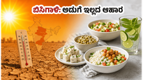 ಬಿಸಿಗಾಳಿಯ ಎಚ್ಚರಿಕೆ: ಅಡುಗೆ ಮಾಡದೆಯೇ ದೇಹಕ್ಕೆ ತಂಪು ನೀಡುವ ಪ್ರೋಟೀನ್ ಆಹಾರಗಳಿವು!
