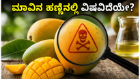 ಮಾವಿನ ಹಣ್ಣು ತಿನ್ನುವ ಮುನ್ನ ಎಚ್ಚರ! ವಿಷಕಾರಿ ರಾಸಾಯನಿಕಗಳಿಂದ ಪಾರಾಗುವುದು ಹೇಗೆ?