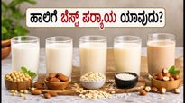 ಸಸ್ಯಜನ್ಯ ಹಾಲು: ತೂಕ ಇಳಿಕೆ ಮತ್ತು ಮಧುಮೇಹ ನಿಯಂತ್ರಣಕ್ಕೆ ಇದುವೇ ಬೆಸ್ಟ್ ಪರ್ಯಾಯ!