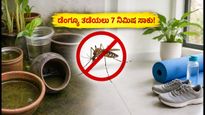 ಮಳೆಗಾಲದಲ್ಲಿ ಡೆಂಗ್ಯೂ ಕಾಟ: ಮನೆಯಲ್ಲೇ 7 ನಿಮಿಷದ ಈ ಚೆಕ್ ಲಿಸ್ಟ್ ಪಾಲಿಸಿ, ಸುರಕ್ಷಿತವಾಗಿರಿ!