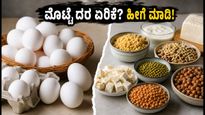 ಮೊಟ್ಟೆ ದರ ಏರಿಕೆ ಚಿಂತೆಯೇ? ಕಡಿಮೆ ಬಜೆಟ್‌ನಲ್ಲಿ ಪ್ರೋಟೀನ್ ಪಡೆಯಲು ಈ ಸ್ಮಾರ್ಟ್ ಟಿಪ್ಸ್ ಫಾಲೋ ಮಾಡಿ