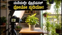 ವಿಶ್ವ ಛಾಯಾಗ್ರಹಣ ದಿನ: ಮನೆಯಲ್ಲೇ ಫೋಟೋ ಸ್ಟುಡಿಯೋ ಮಾಡಿ, ನಿಮ್ಮ ಗಿಡಗಳ ಫೋಟೋ ವೈರಲ್ ಆಗುವಂತೆ ಕ್ಲಿಕ್ ಮಾಡಿ!
