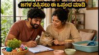 ಬೆಕ್ಕು ಸಾಕುವ ದಂಪತಿಗಳೇ ಎಚ್ಚರ! ಜಗಳ ತಪ್ಪಿಸಲು ಈ 'ಪೆಟ್-ಕೇರ್ ಒಪ್ಪಂದ' ಕಡ್ಡಾಯ
