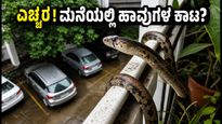 ಬೆಂಗಳೂರಿನಲ್ಲಿ ಮಳೆಗಾಲ: ನಿಮ್ಮ ಅಪಾರ್ಟ್‌ಮೆಂಟ್‌ನಲ್ಲಿ ಹಾವುಗಳ ಕಾಟವೇ? ಈ ಮುನ್ನೆಚ್ಚರಿಕೆ ಕ್ರಮಗಳನ್ನು ತಪ್ಪದೇ ಪಾಲಿಸಿ!