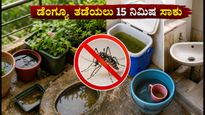 15 ನಿಮಿಷದ ಡೆಂಗ್ಯೂ ಹೋಮ್ ಆಡಿಟ್: ನಿಮ್ಮ ಮನೆಯೇ ಸೊಳ್ಳೆಗಳ ತಾಣವಾಗದಿರಲಿ, ಈ ಸರಳ ಮುನ್ನೆಚ್ಚರಿಕೆಗಳನ್ನು ತಪ್ಪದೇ ಪಾಲಿಸಿ!